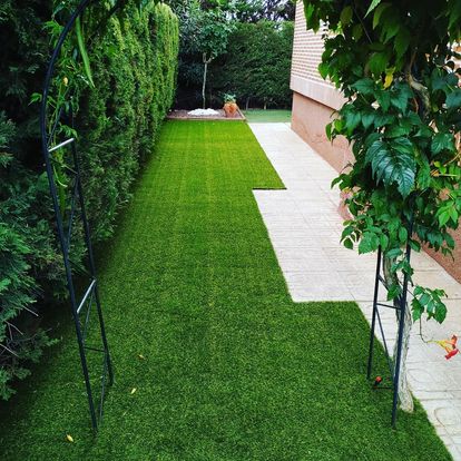 mantenimiento de jardines-en-valladolid